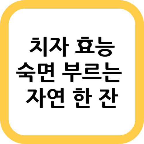 치자 효능