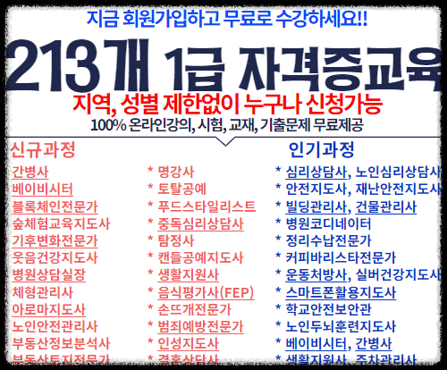 213개 무료수강