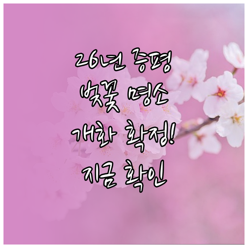 2026년 충청도 증평 벚꽃 개화 예..