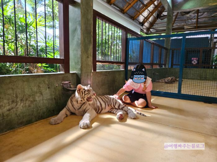 #푸켓코스 #푸켓일정