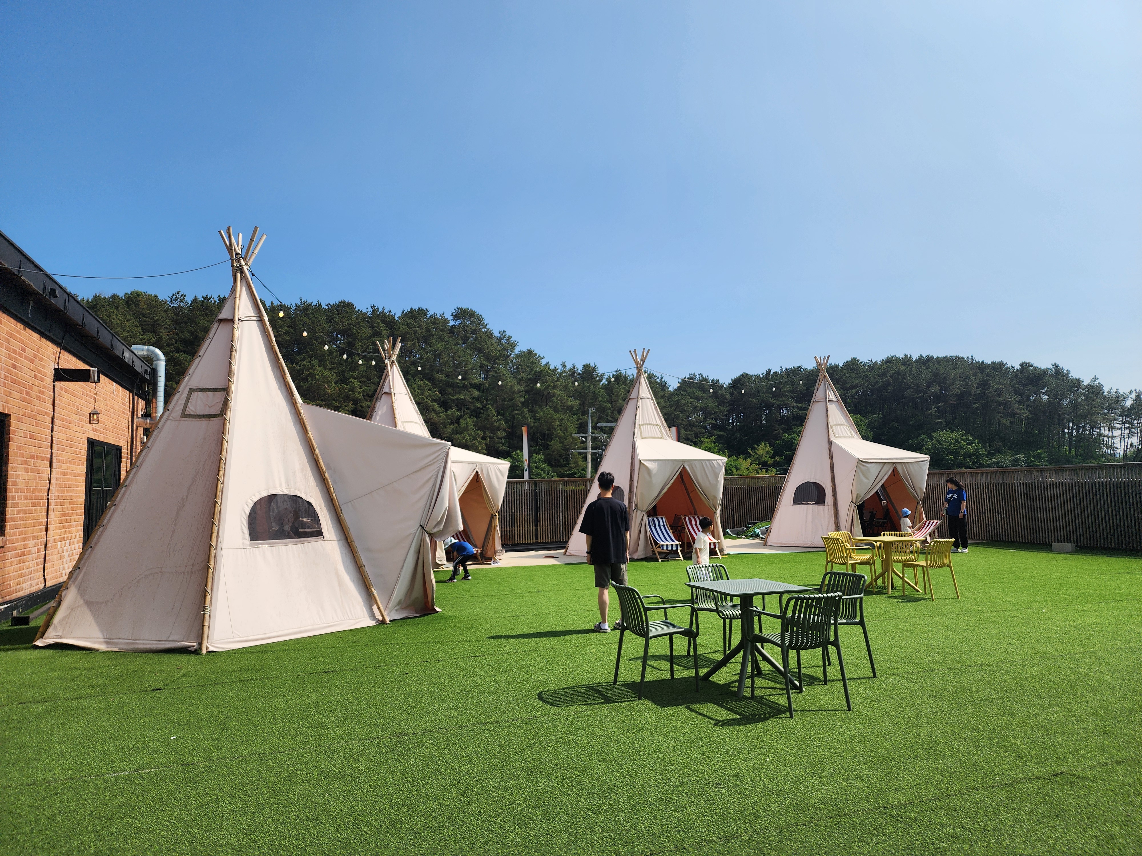 바리루스 in 파주