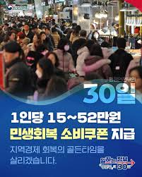 민생 소비 쿠폰, 어디서 못 쓰나요? (2025년 최신 기준)