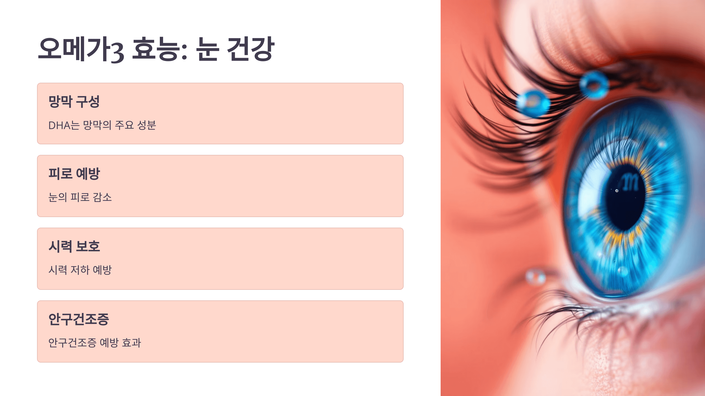 오메가3와 관련된 사진입니다.