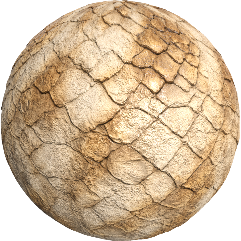 Scale texture for a dragon or reptile2