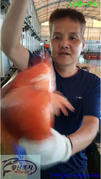 8월 강화도 바다 낚시 어종 소개_14