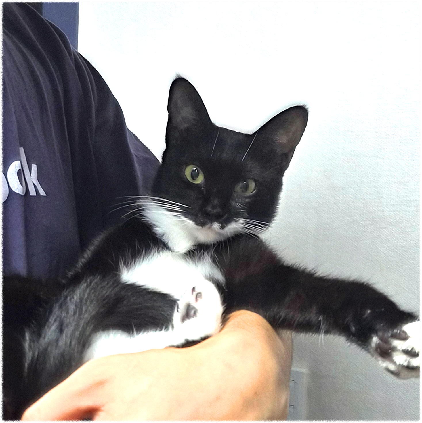 올해 최고의 선택, 셰리