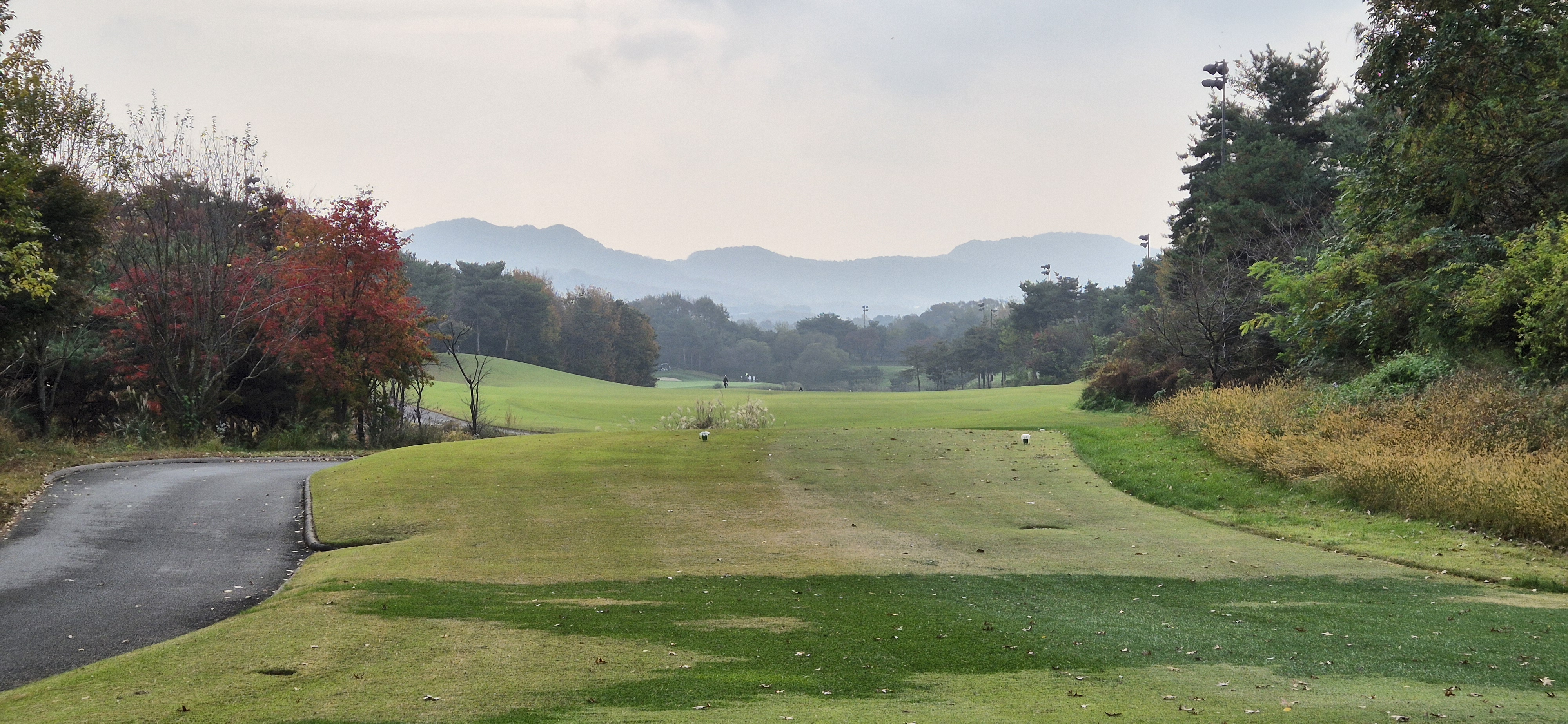 마이다스레이크 이천cc 올림푸스 코스 사진 및 공략 정보