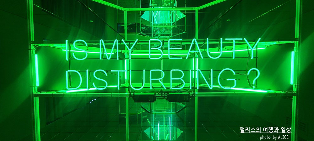 해운대 뮤지엄원 치유의기술, 부산 실내 가볼만한곳, 부산 전시 + 33% 할인예약방법