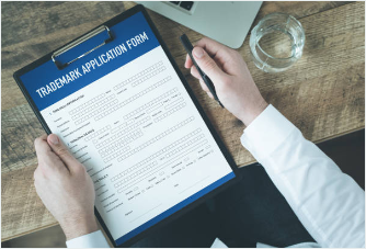 고용보험 가입이력 조회