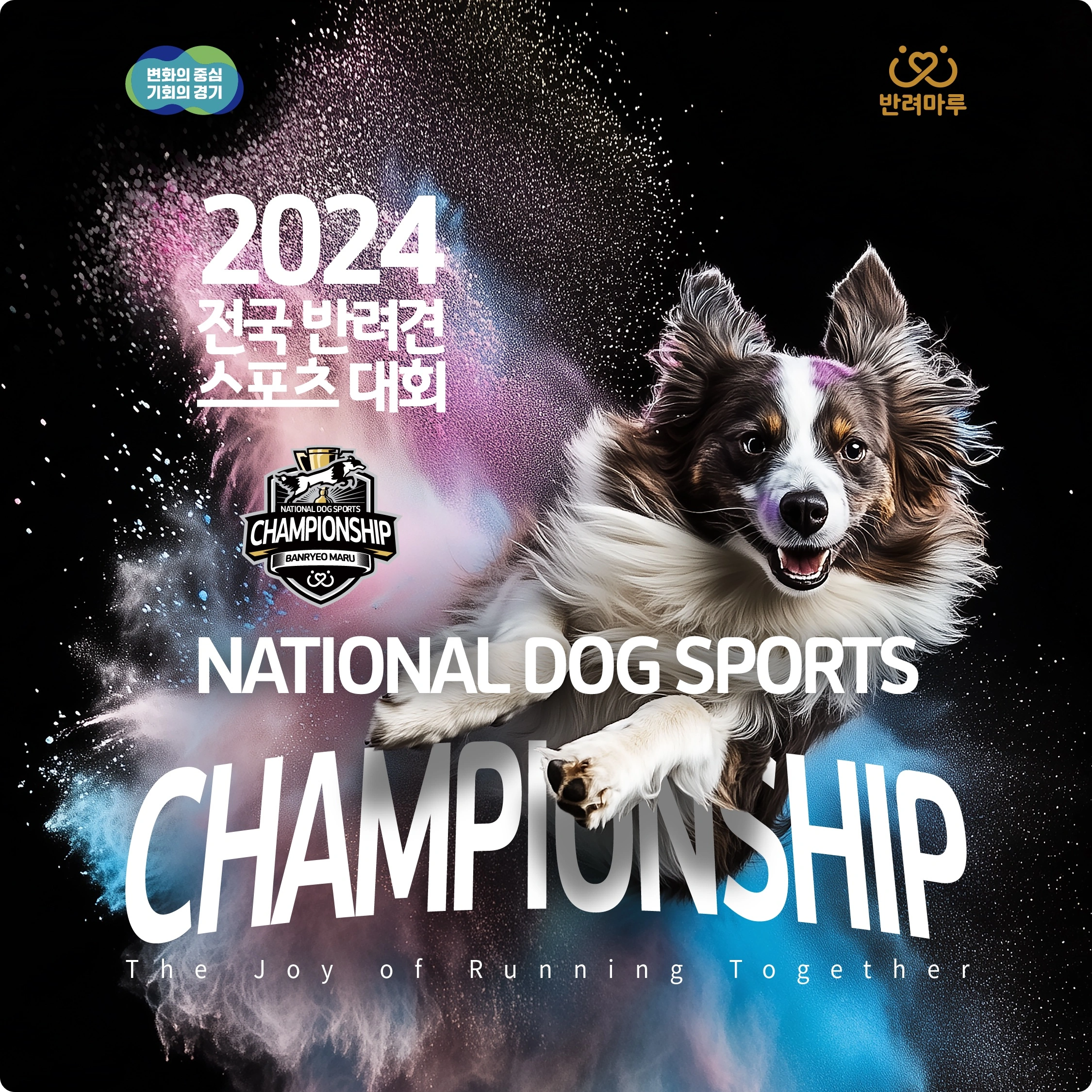 경기도 & 반려마루 2024 전국 반려견 스포츠 대회 소개 핸들러 점핑 어질리티 플라이볼 일정 참가 신청 방법 경기도 인재개발원
