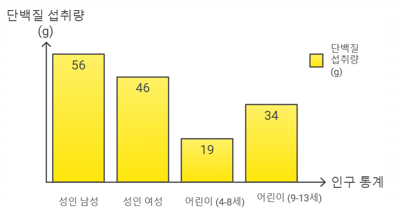 연령대별 권장 단백질 섭취량