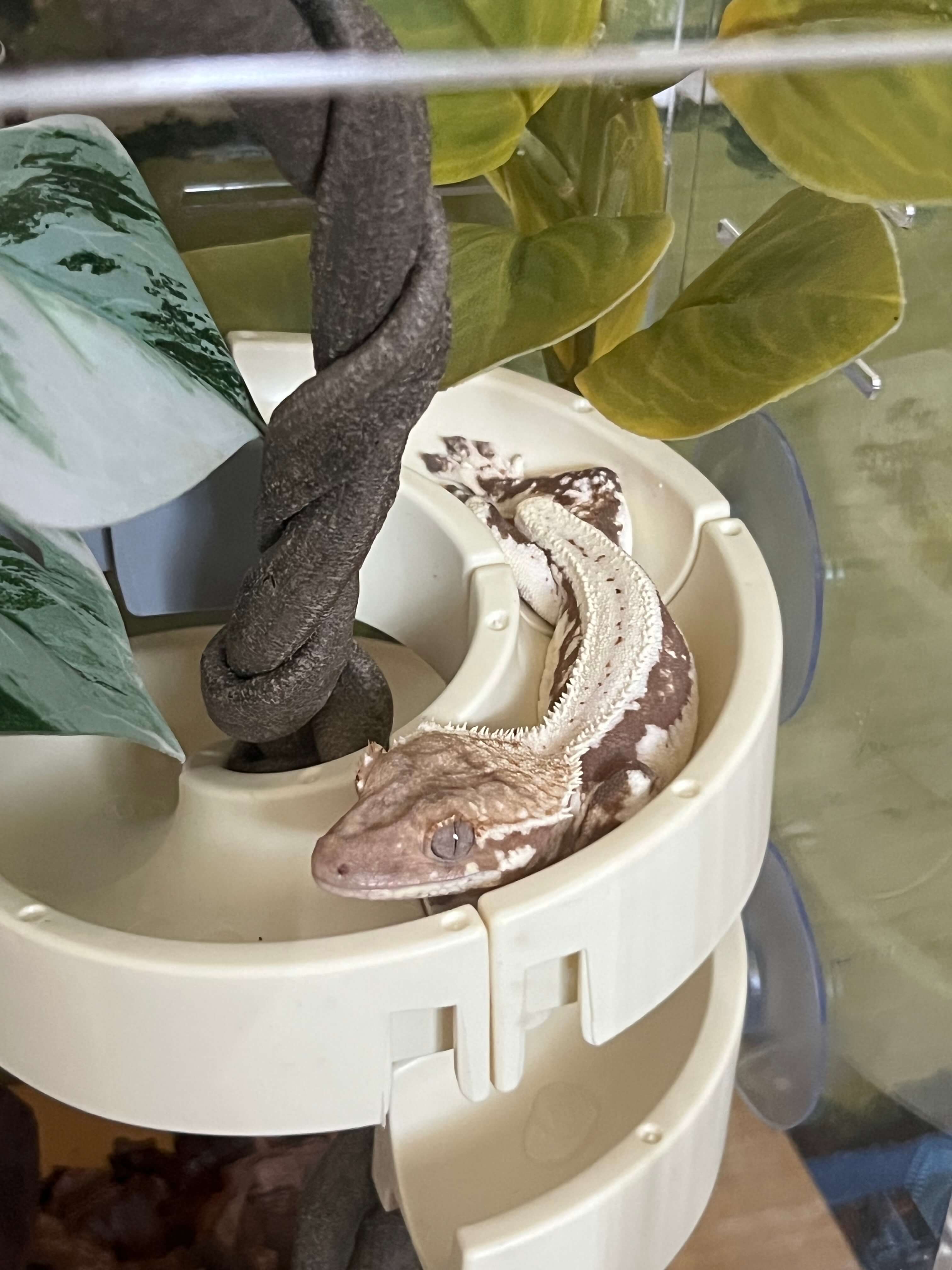 크레팍스 미끄럼틀