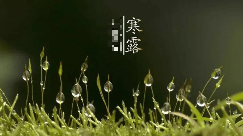 계절의 변화를 세분화한 24 절기 중 '한로' 이해하기