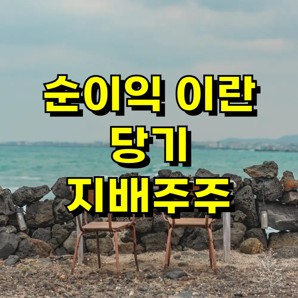 순이익 이란 당기 지배주주