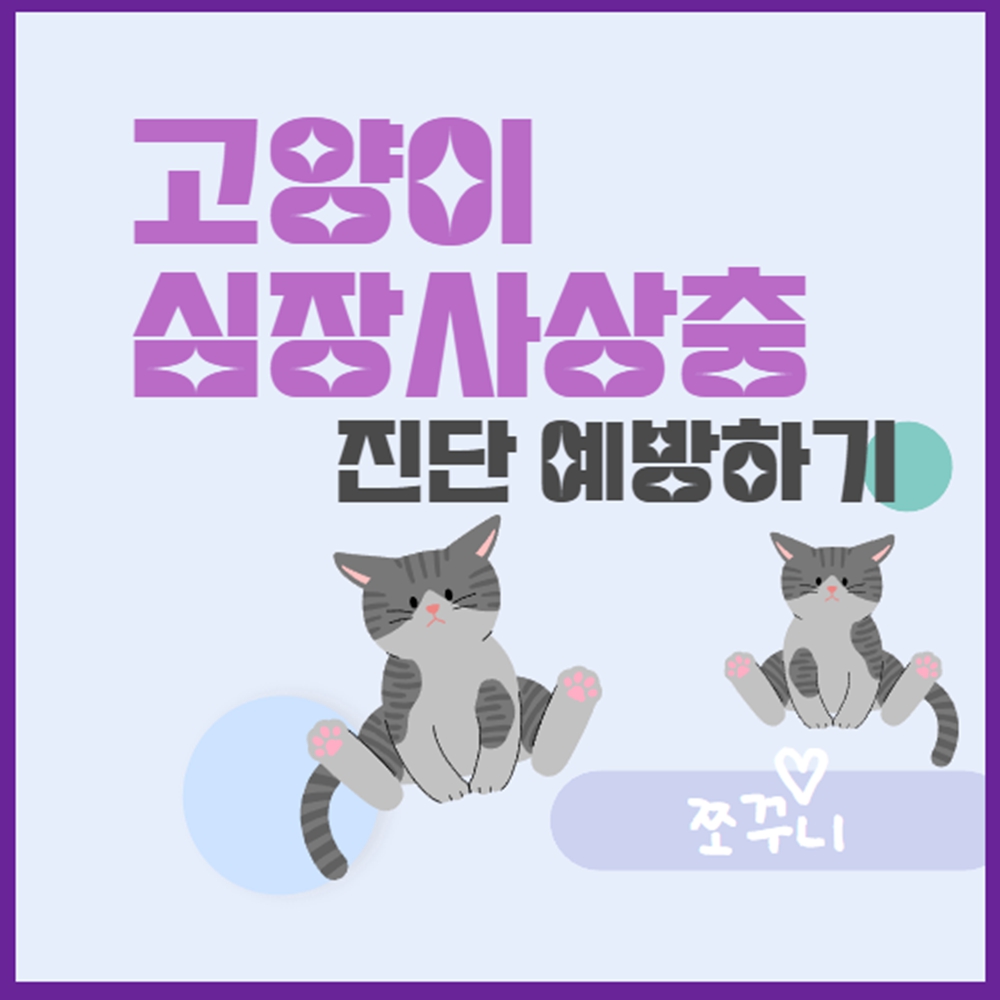고양이 심장사상충