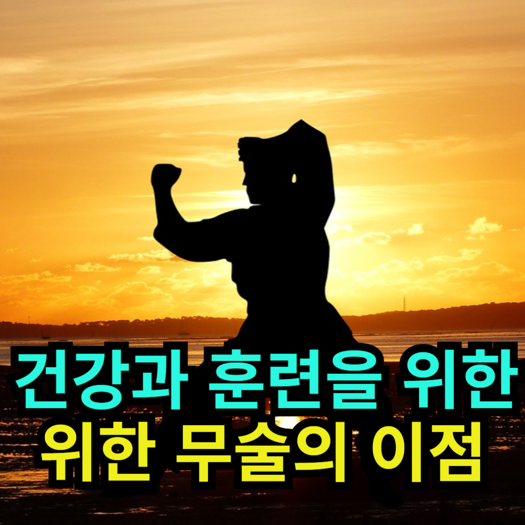 건강과 훈련을 위한 무술의 이점