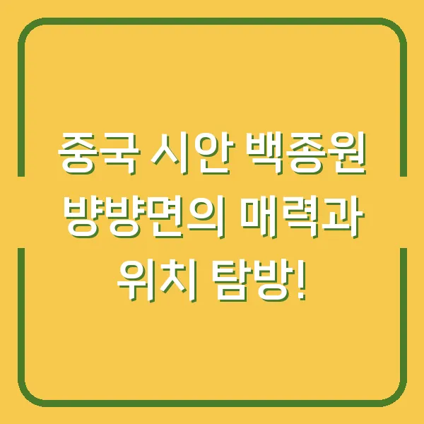 중국 시안 백종원 뱡뱡면의 매력과 위치 탐방!