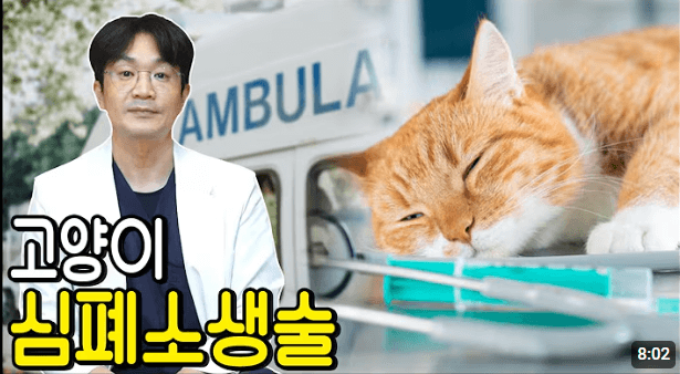 반려인이라면 꼭 알아야 할 강아지, 고양이 심폐소생술과 응급조치 방법