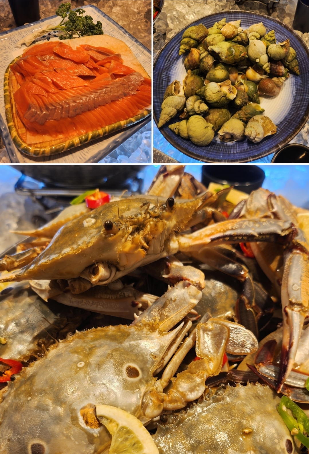 파주 운정 쿠우쿠우 평일 런치 내돈내산 방문 후기 1