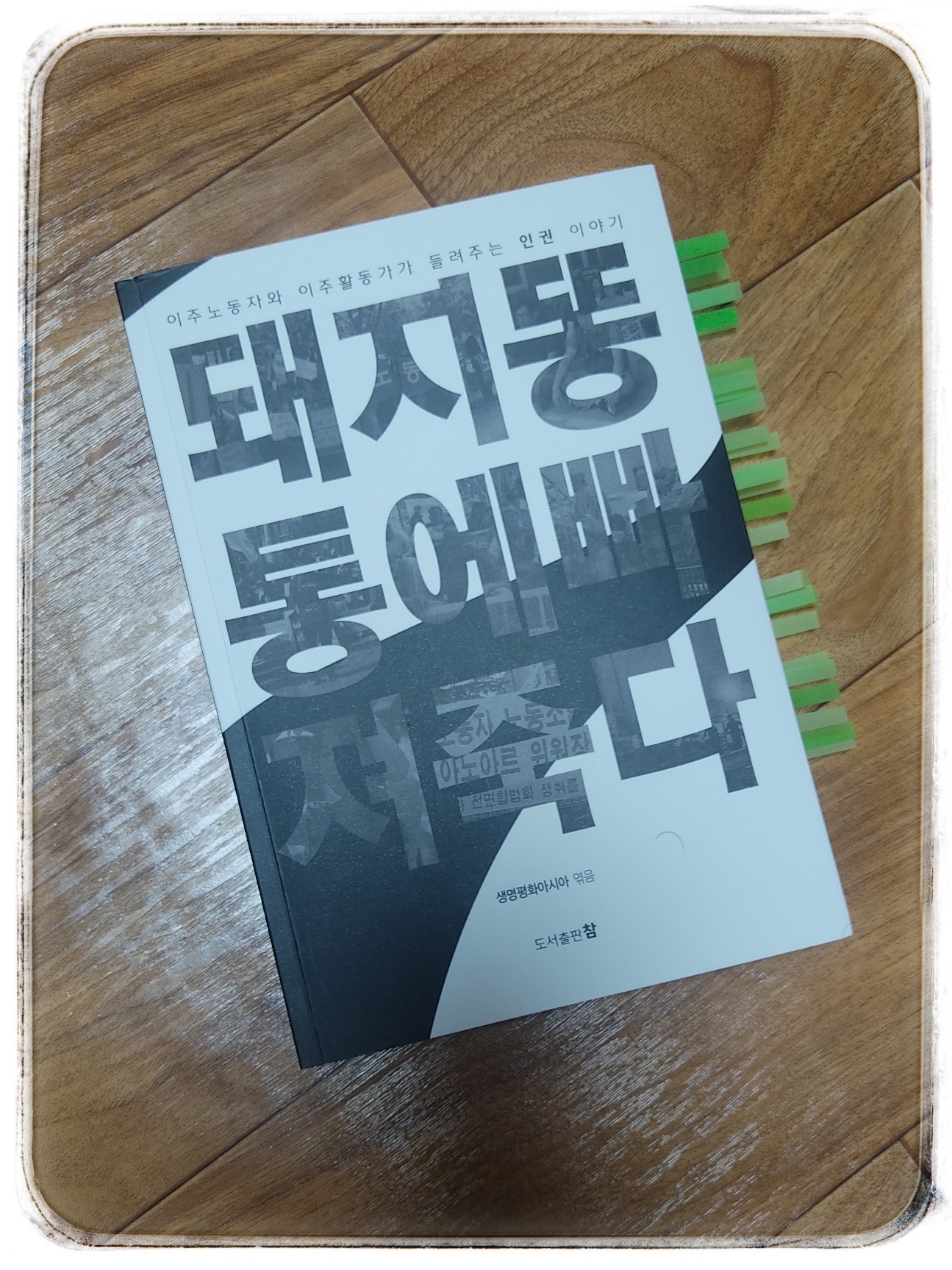 책 '돼지똥통에 빠져 죽다' 종이책 표지 사진