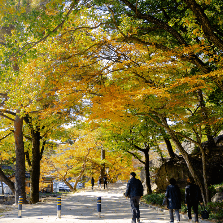 나무아래-사람들