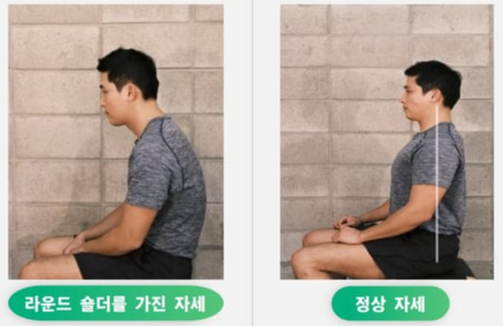자세교정기 고르는법 종류 비교
