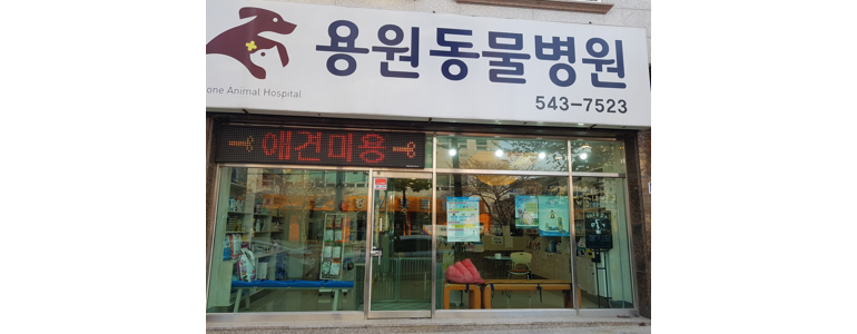 창원 진해구 동물병원