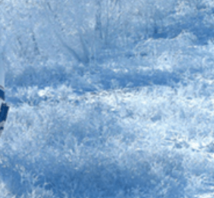 무주 덕유산 케이블카 요금