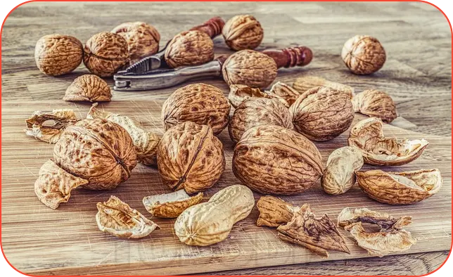 호두와 땅콩 껍데기