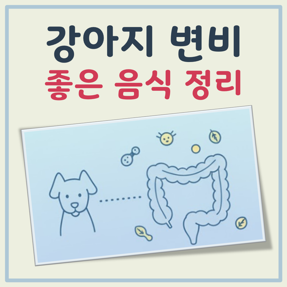 강아지 변비에 좋은 음식 및 피해야 할 음식 대표 이미지