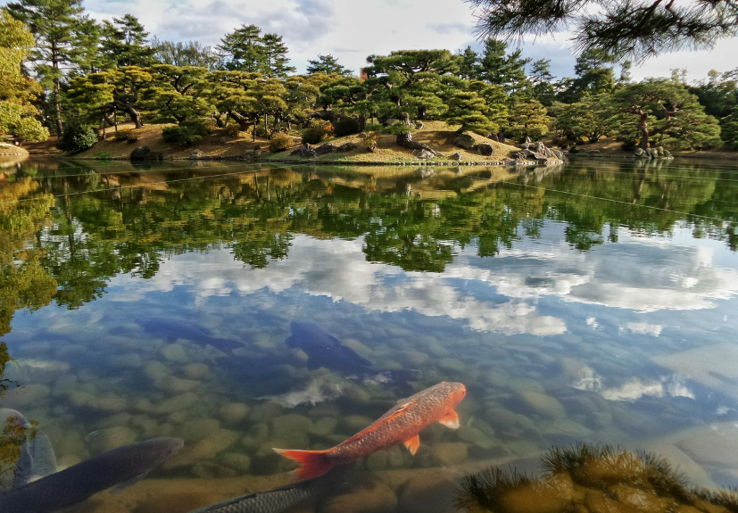 일본 다카마스 정원 풍경 사진