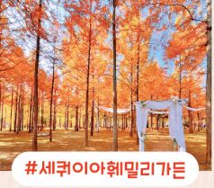남이섬