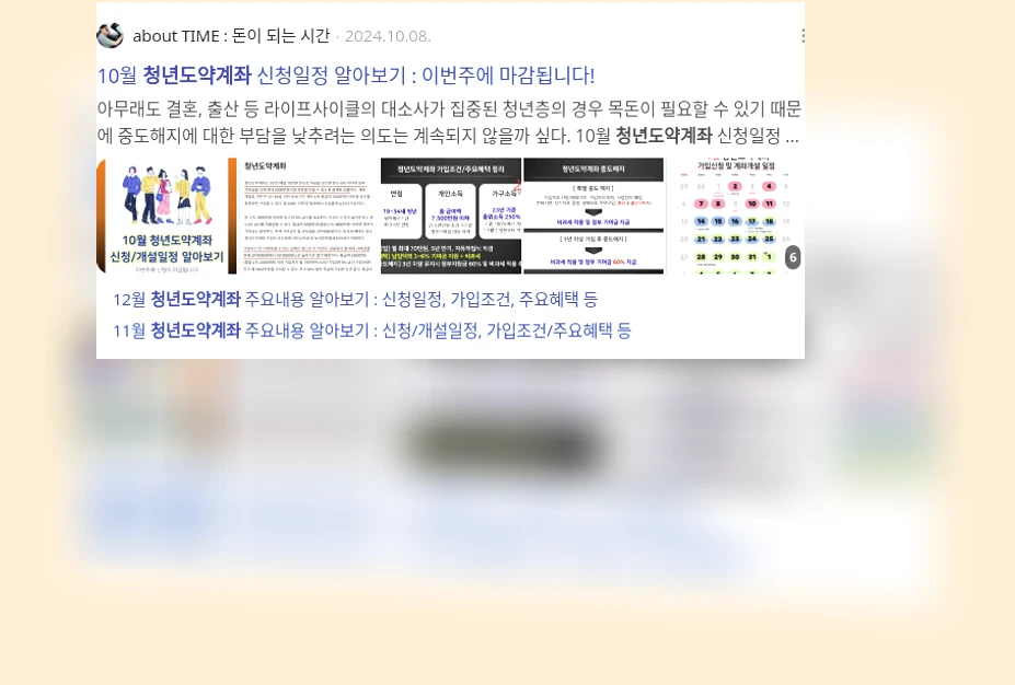 청년도약계좌_3_subsection