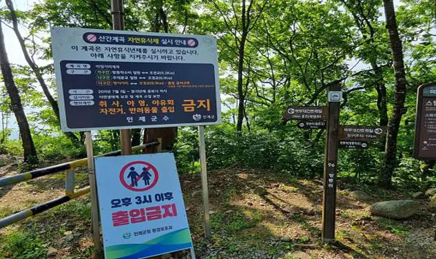 아침가리계곡