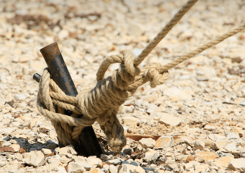 민생회복지원금 관련 이미지