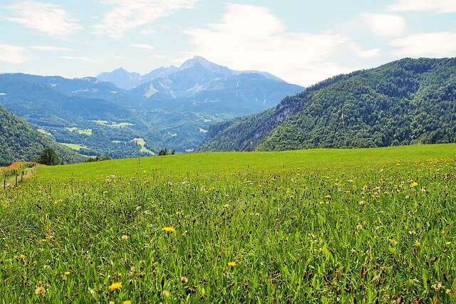 귀촌 후 마을 모임 거부 후 생긴 오해와 불이익