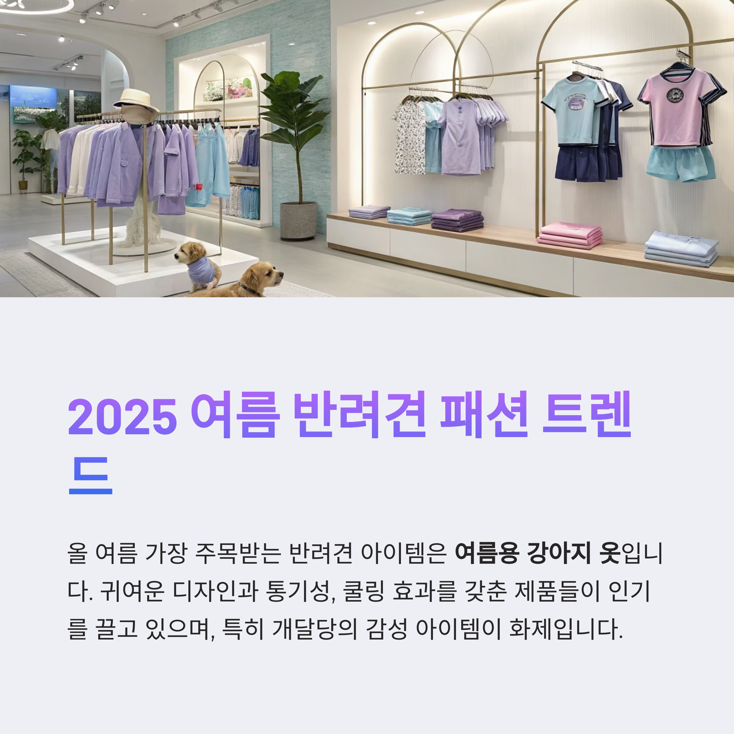 여름 반려견 패션 트렌드