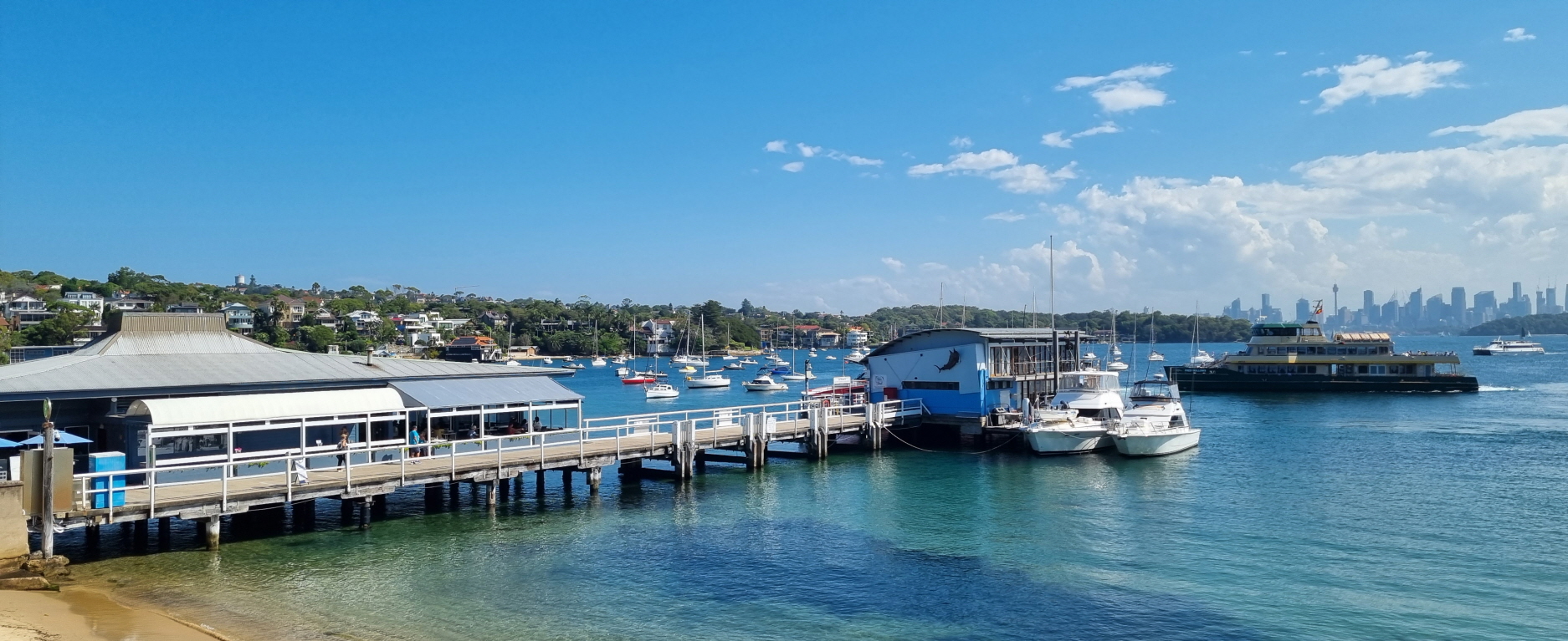 시드니 일몰 야경 인생샷 스팟
