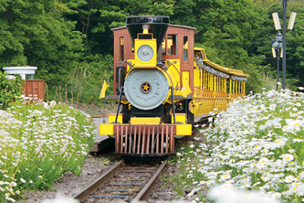 제주도 에코랜드 테마파크 증기기관차 2