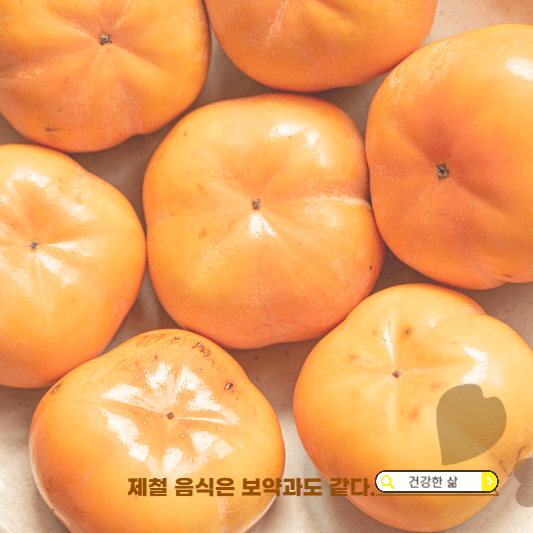10월 제철과일