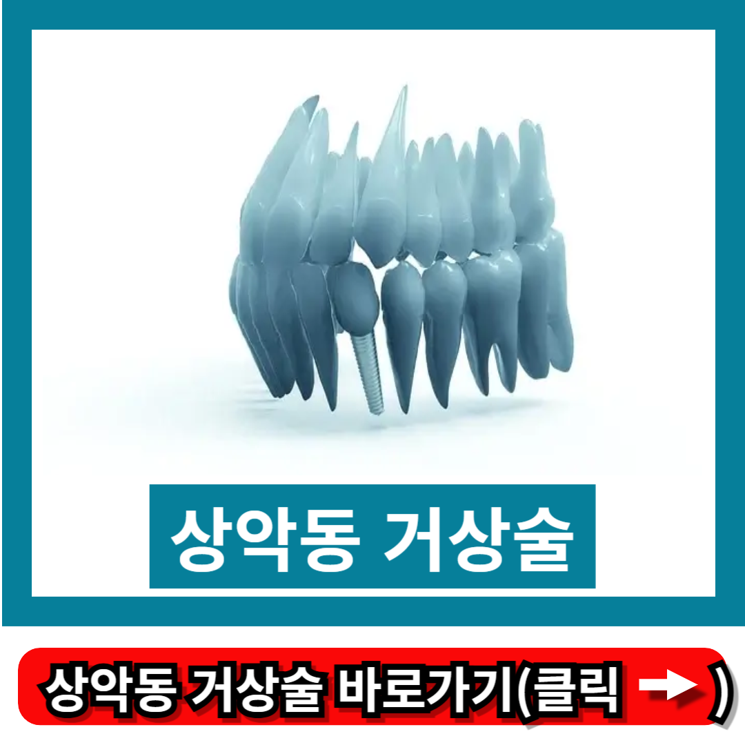 상악동 거상술