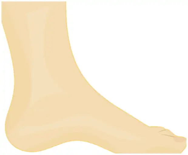 족저 근막염 치료법 (주사&amp;#44; 약&amp;#44; 걷기 중단 방법 등)