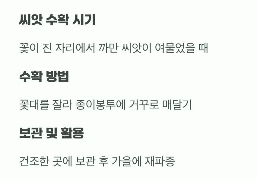 다음 해를 위한 작은 선물, 씨앗 받기
