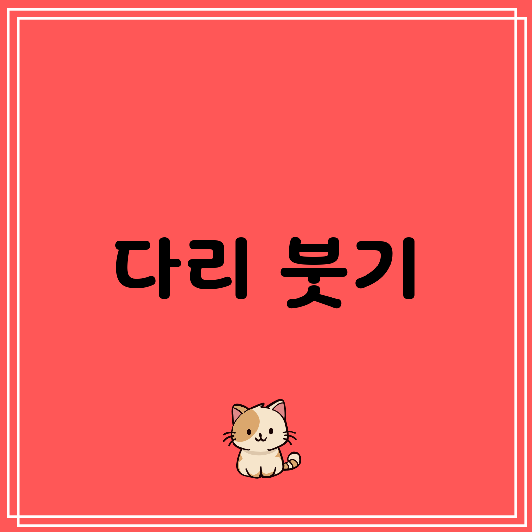 다리 붓기
