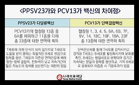 폐렴 예방접종 가격 시기