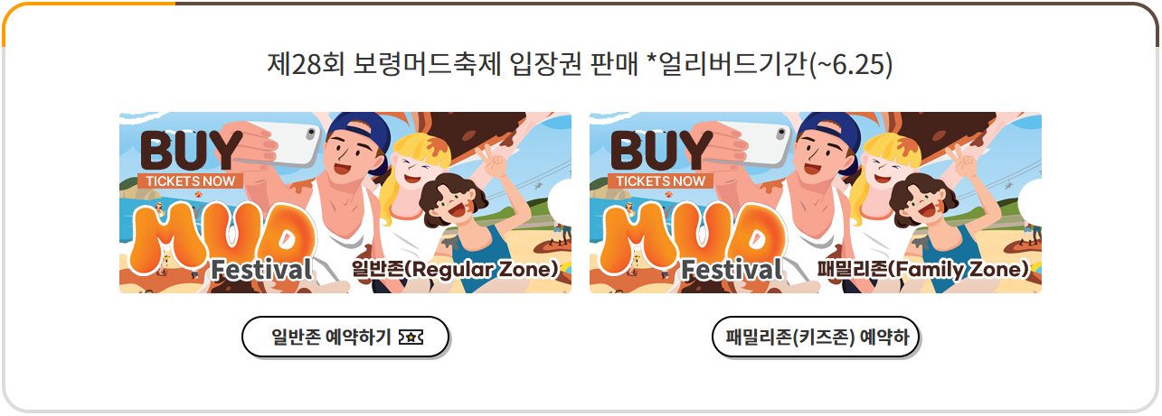 2025 보령머드축제 할인