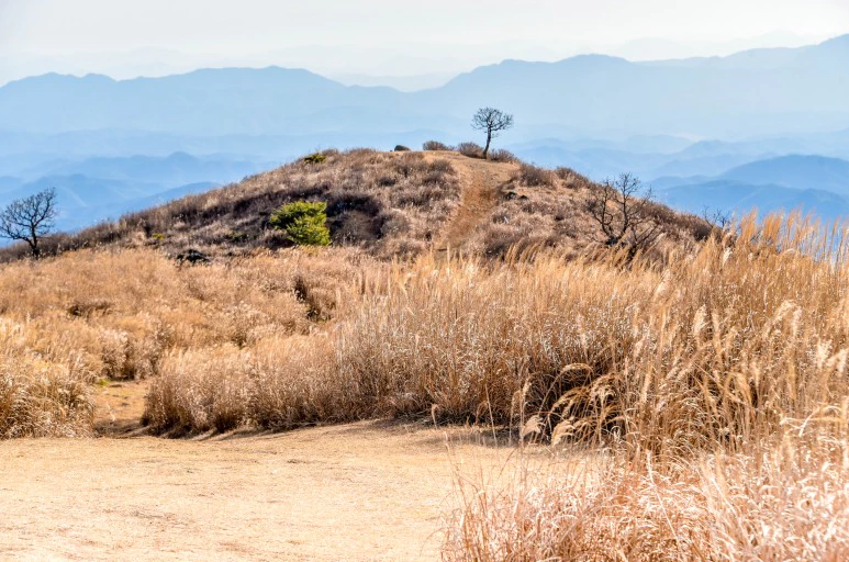 황매산-별빛언덕
