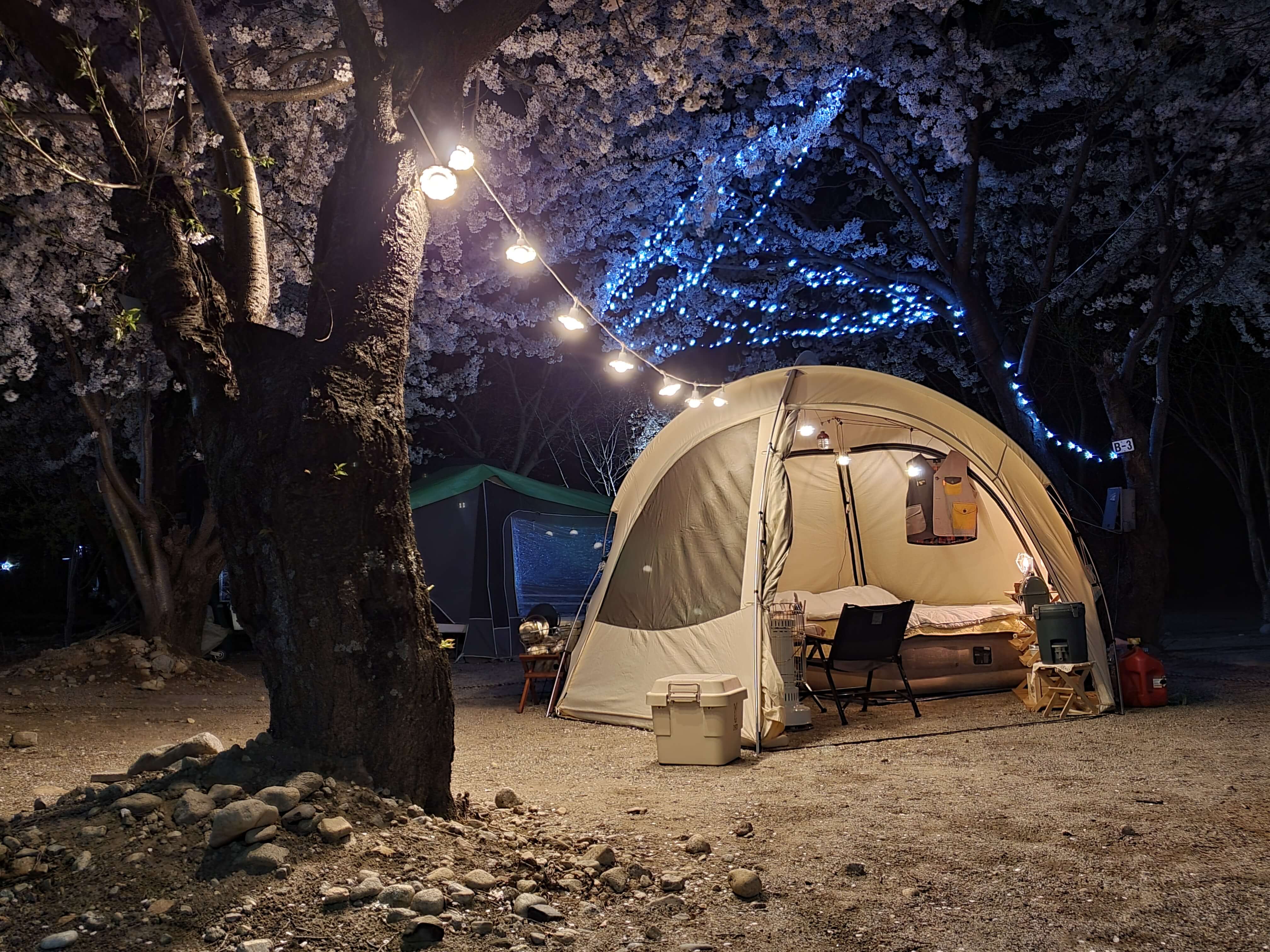 벚꽃 캠핑장