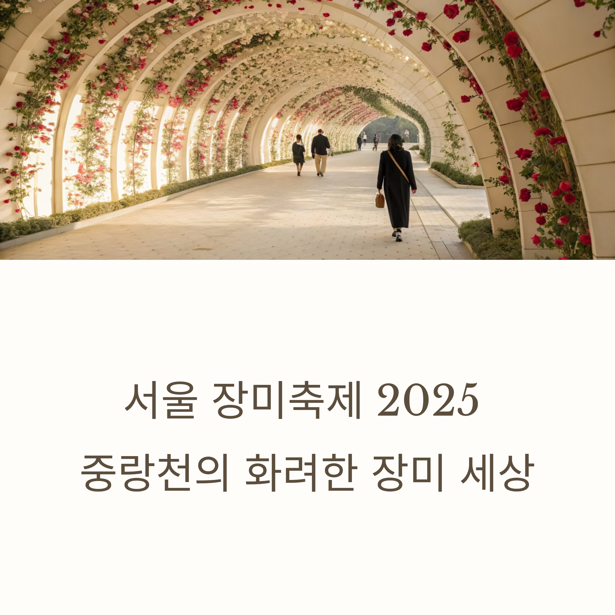 중랑천에서 만나는 서울장미축제 2025, 완벽 가이드