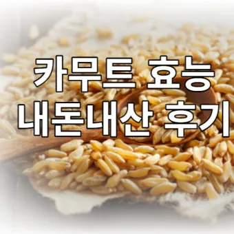 카무트 효소 부작용 효능 먹는법_32